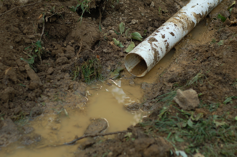 Réparation de drain français 